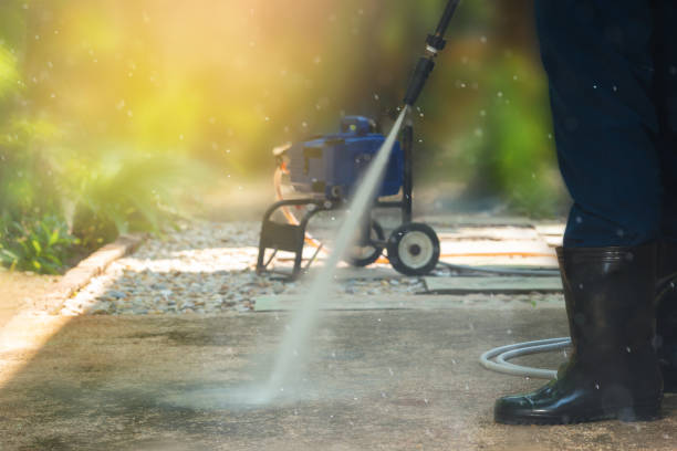 Best Sidewalk and Walkway Cleaning  in Woodville, WI
